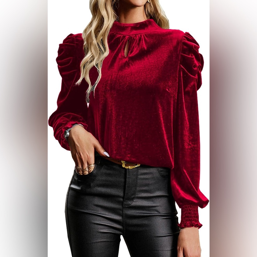 velvet blouse size S